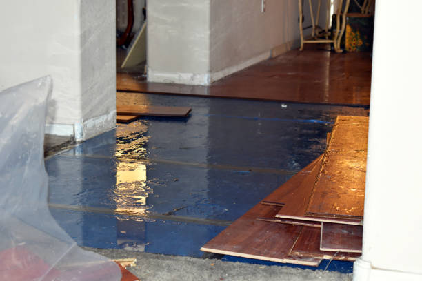 Professional Sewage Cleanup technician working in Port Austin, MI